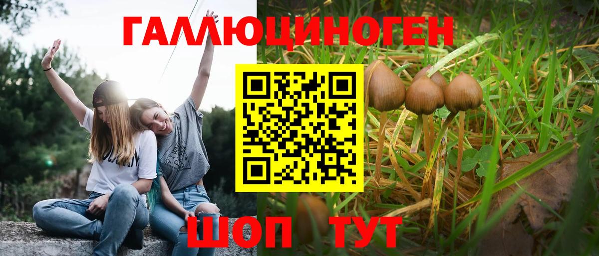 Псилоцибиновые грибы MAGIC MUSHROOMS Серов