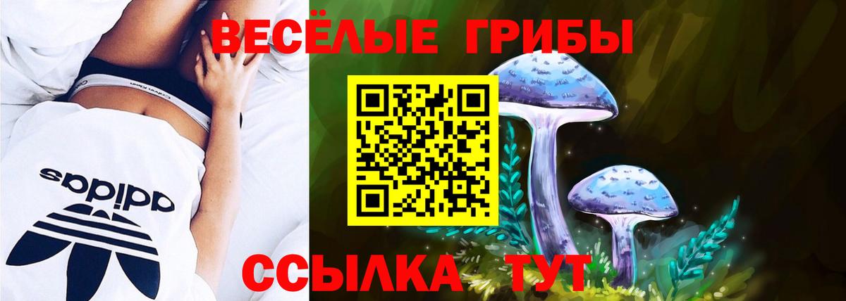 Галлюциногенные грибы Magic Shrooms  Вход с VPN  Серов 